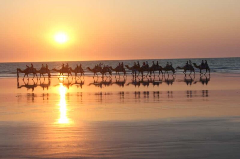 North of Rocks on Cable Beach: 1-Hour Sunset Camel Ride - An Authentic Camel Experience on Cable Beach