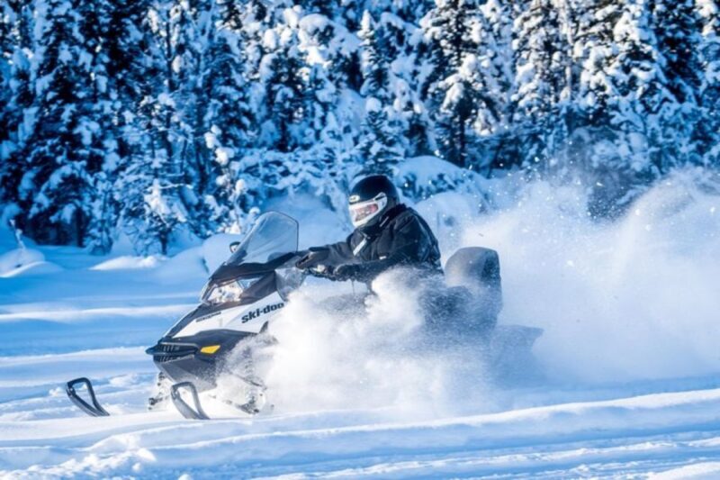 North Pole Alaska: Guided Fairbanks Snowmobile Tour - Exploring the Tour In-Depth