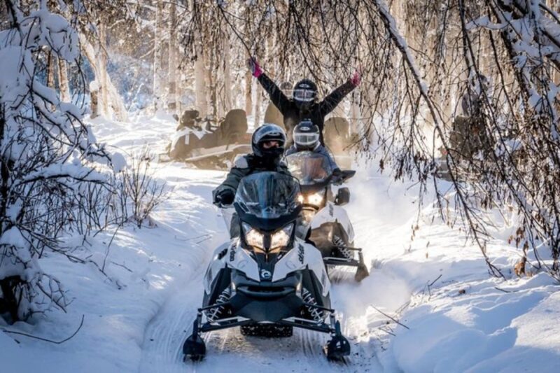 North Pole Alaska: Guided Fairbanks Snowmobile Tour - Final Thoughts