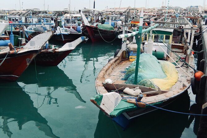 North Qatar Guided Expedition to Nature Charms - Key Points
