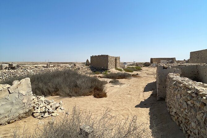 North Qatar Guided Expedition to Nature Charms - The Detailed Experience