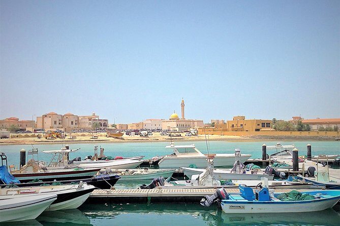 North Qatar Half-Day Tour: Al Zubarah, Purple Island & Mangroves - Al Thakhira Beach and Coastal Life