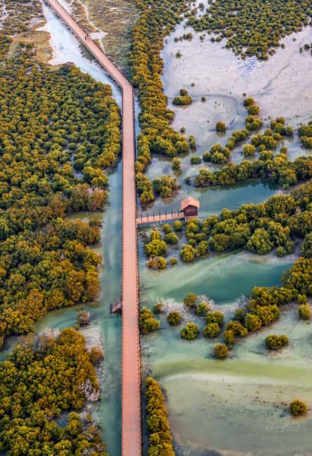 North Qatar: Zubara Fort, Jumail Village, Thakhira Mangroves - Final Thoughts: Is This Tour for You?