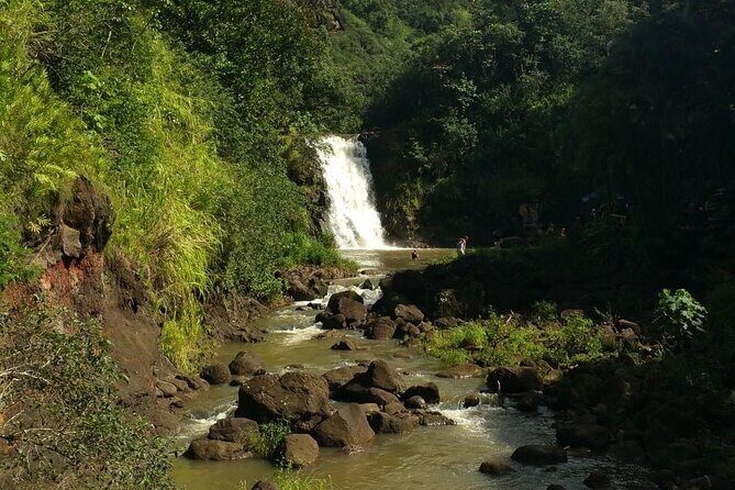 North Shore day,Waterfalls and Turtles Tour - Who Is This Tour Best Suited For?