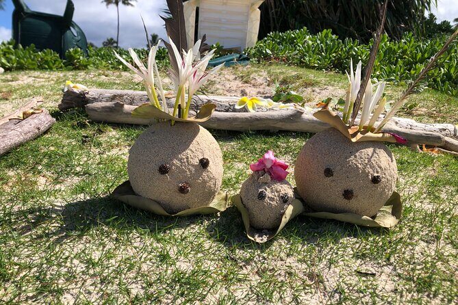 North Shore day,Waterfalls and Turtles Tour - FAQs about the North Shore Waterfalls and Turtles Tour