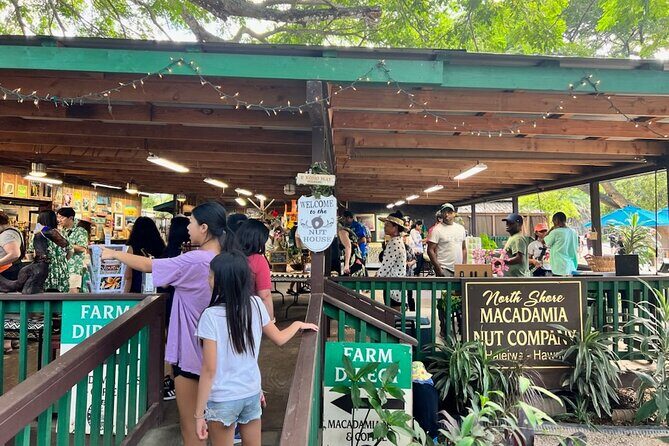 North Shore Dole Pineapple Farm Tour - The Experience From the Traveler’s Perspective