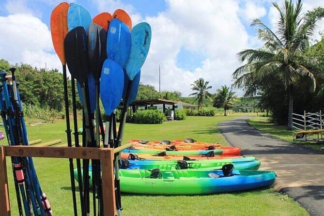 North Shore Farm: Anahulu River, Kayak-Sup, Turtles, Lunch & More - Final Thoughts
