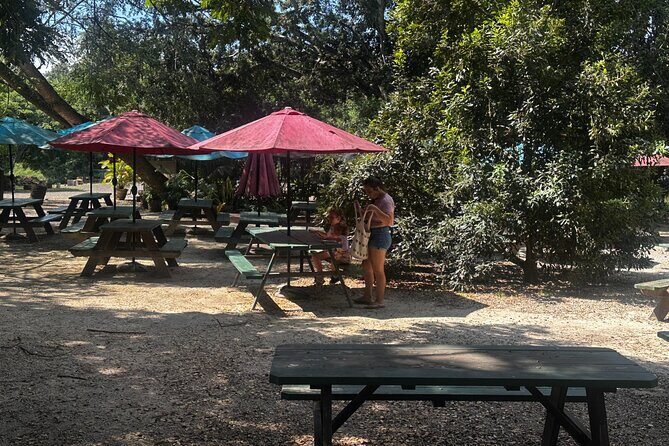 North Shore Foodie Fun: Eat, Explore, Enjoy (Incl. Dole) - An In-Depth Look at the North Shore Foodie Tour
