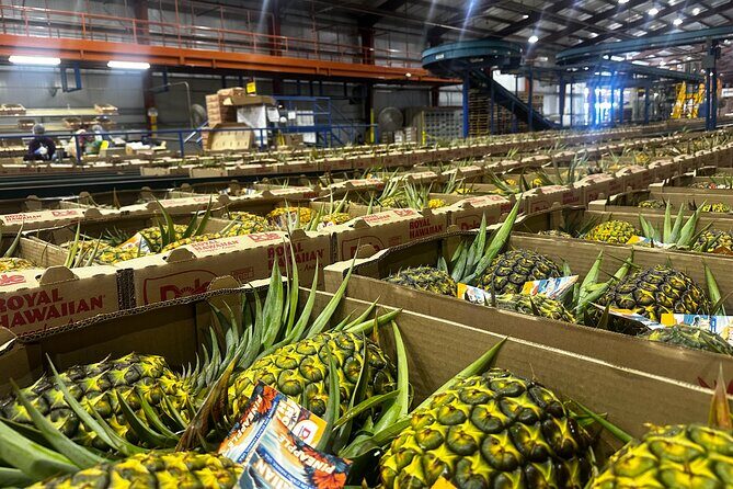 North Shore Foodie Fun: Eat, Explore, Enjoy (Incl. Dole) - Final Thoughts: Is This Tour for You?