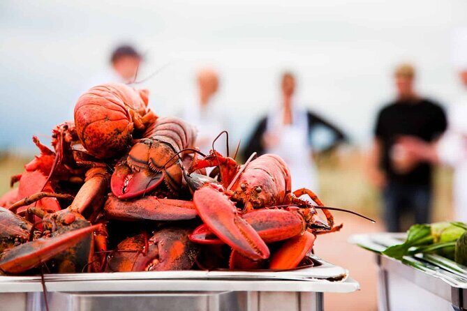 North Shore Tour of Prince Edward Island In Luxury - The Authentic PEI Experience