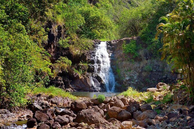 North Shore / Waimea, Falls Day & Swim with Turtles - An In-Depth Look at the North Shore / Waimea, Falls Day & Swim with Turtles Tour