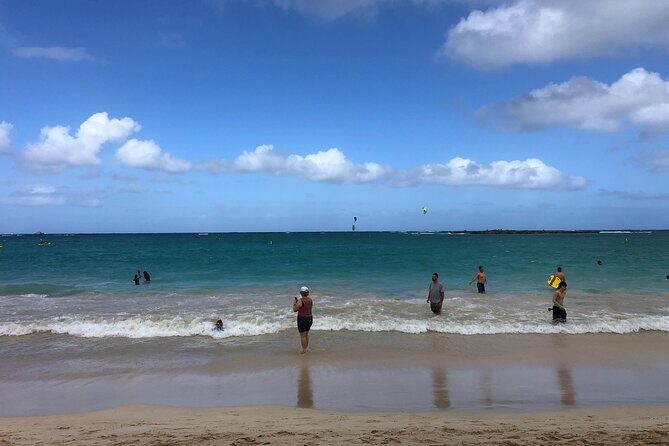 North Shore / Waimea, Falls Day & Swim with Turtles - Practical Tips for Travelers