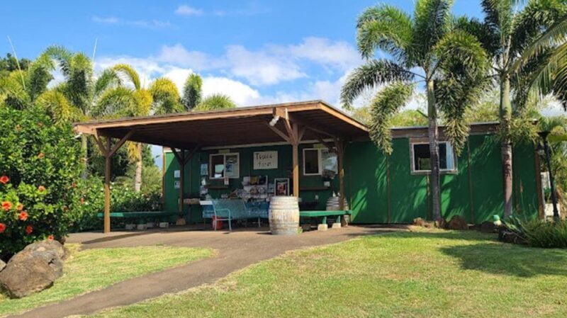 North Shore's best day! River, Turtles, Farm with Lunch - What We Loved and What Could Be Better