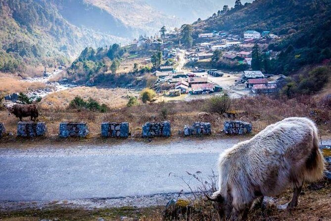 North Sikkim 6 Days Tour - What Travelers Can Expect