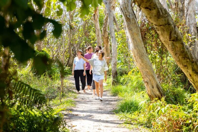 North Stradbroke Island Cultural Private Tour from Brisbane - Returning to Brisbane: A Relaxed The Sum Up