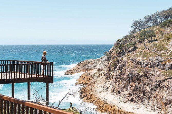 North Stradbroke Island Day Tour from Brisbane  Small Group - Authentic Wildlife & Scenic Experiences Told by Travelers