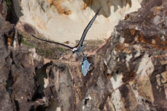 North Stradbroke Island Private Tour with Pickup - Final Thoughts: Who Will Love This Tour?