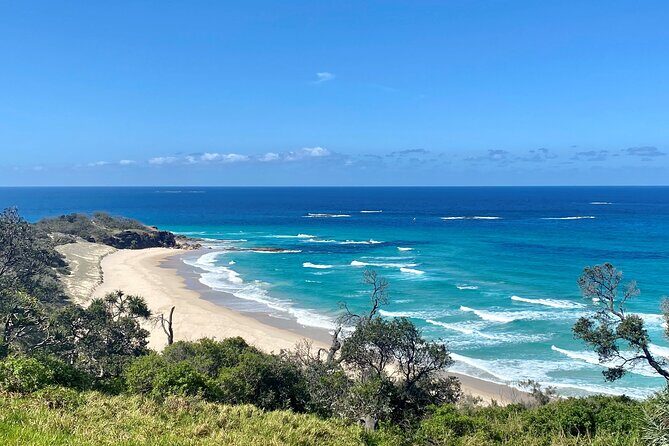 North Stradbroke Island WILDLIFE Adventure Tour from Brisbane - A Thorough Look at the Tour Itself