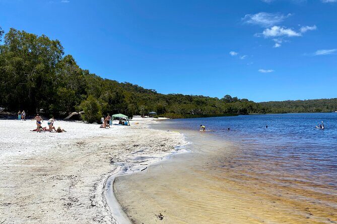 North Stradbroke Island WILDLIFE Adventure Tour from Brisbane - Who Is This Tour Best For?