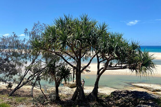 North Stradbroke Island WILDLIFE Adventure Tour from Brisbane - The Sum Up