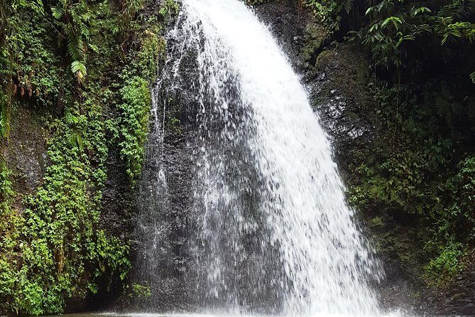 North Tour: rainforest, rum distillery, black sand beach etc - Practical Considerations
