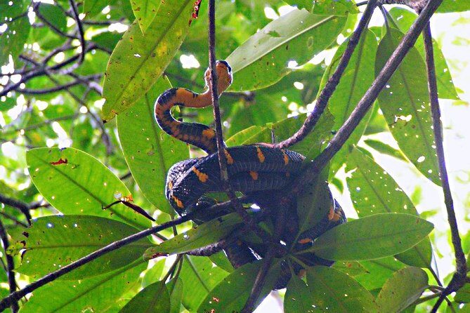 Northern Bintan Full Day Tour - Who Should Consider This Tour?