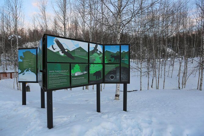 Northern Lights and Arctic Circle Trip from Fairbanks - The Sum Up: Who Should Consider This Tour?