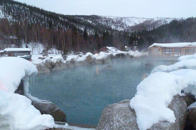 Northern Lights and Chena Hot Springs Night Tour from Fairbanks - The Experience: Pros and Cons from Travelers’ Perspectives