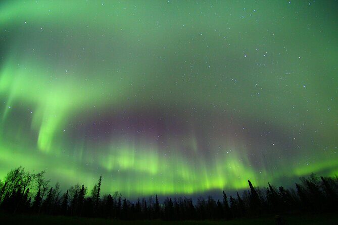 Northern Lights and Chena Hot Springs Night Tour from Fairbanks - Price and Value