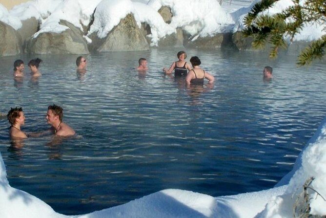 Northern Lights and Chena Hot Springs Tour from Fairbanks - What You Can Expect on This Tour
