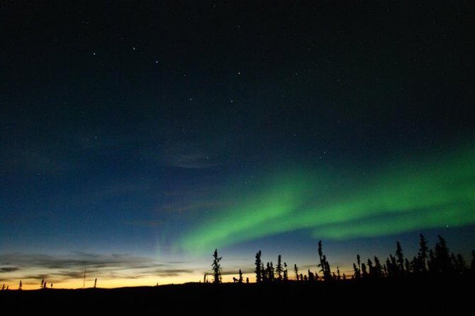 Northern Lights Experience and Cabin Dinner - Key Points