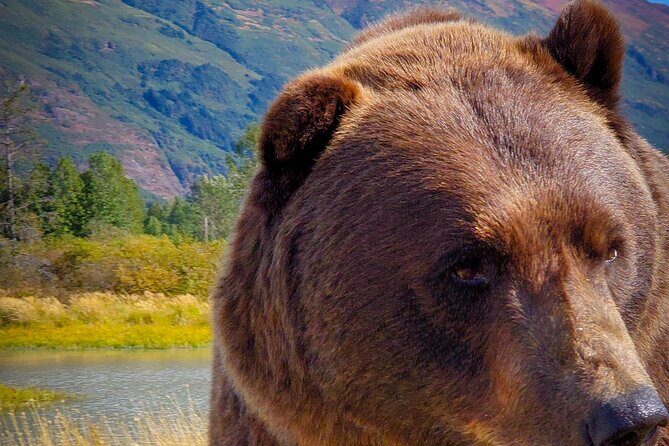 Northern Lights Experience in Anchorage - Final Thoughts