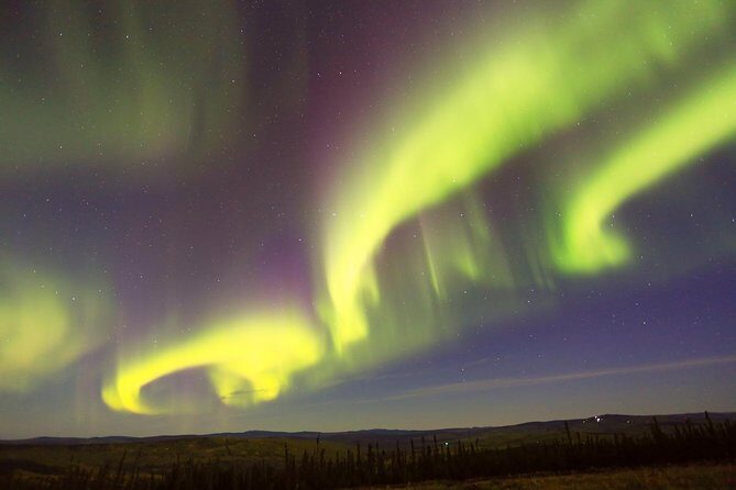 Northern Lights Lodge Viewing in Fairbanks - Authenticity and Reviews: What Travelers Say
