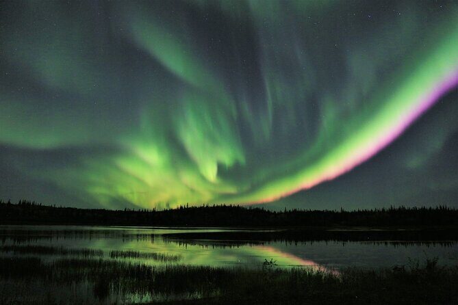Northern Lights Tour Yellowknife - Pricing and Value