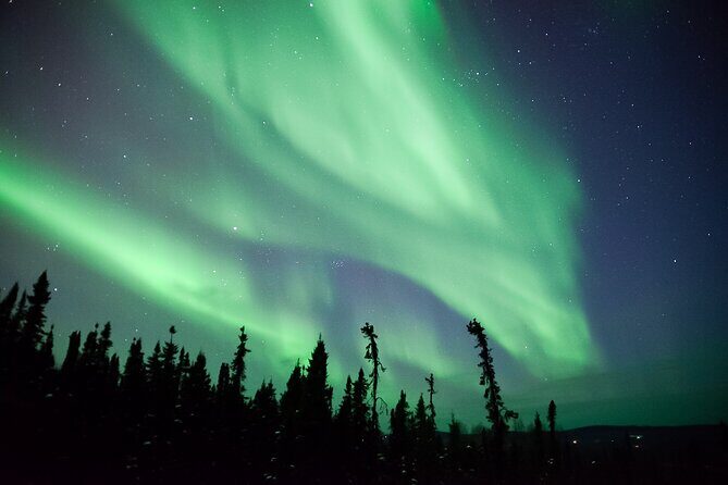 Northern Lights Viewing at Murphy Dome - The Sum Up: Is It Worth It?