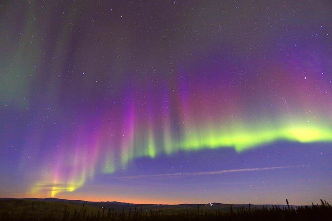 Northern Lights Viewing including Dinner and 1-Hour Dog Sledding - Authenticity and Value