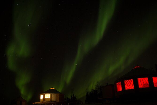 Northern Lights Viewing including Dinner and 1-Hour Dog Sledding - Frequently Asked Questions