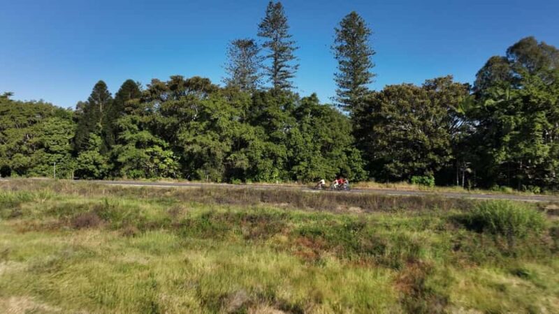 Northern Rivers Rail Trail E-Bike Hire w Shuttle from Byron - An In-Depth Look at the Northern Rivers Rail Trail E-Bike Tour