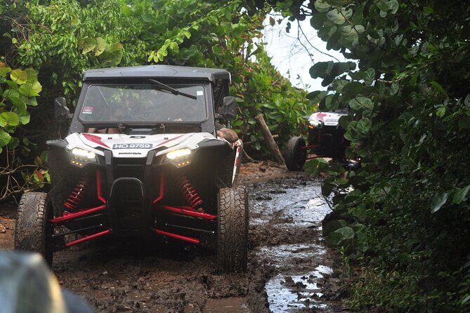 Northern Sights - Buggy in the North - A Closer Look at the Northern Sights Buggy Tour