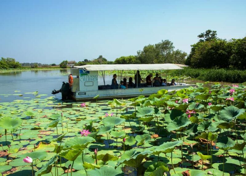 Northern Territory: Corroboree Billabong Nature Cruises - Practical Tips for Planning Your Tour