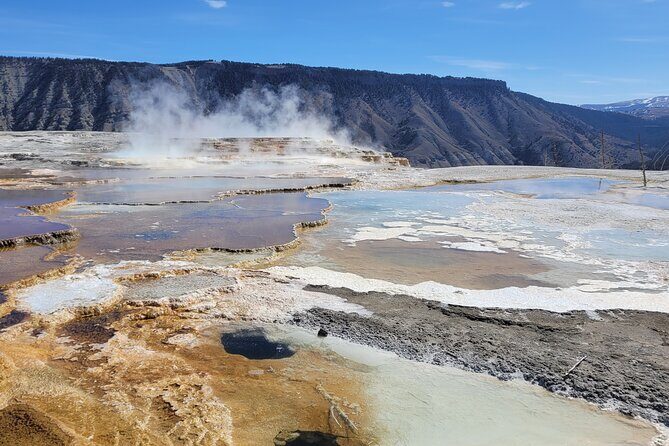 Northern Yellowstone Safari from Cody, WY - Key Points
