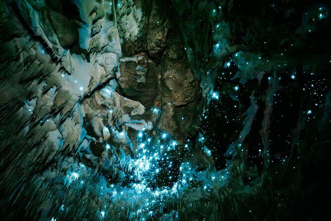 Northland Hidden Gems Glowworm Cave, Beach and Café Experience - Starting the Day: Auckland to Mangawhai