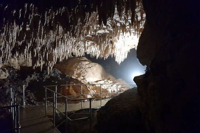 Northland Hidden Gems Glowworm Cave, Beach and Café Experience - Artistic Lunch at Eutopia Café