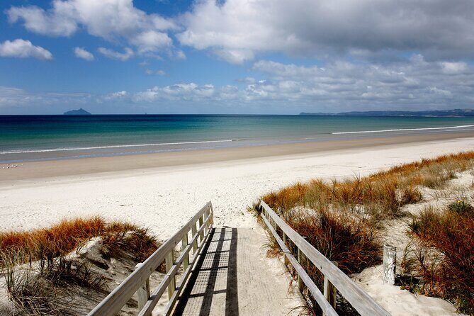 Northland Hidden Gems Glowworm Cave, Beach and Café Experience - Final Thoughts: Who Should Consider This Tour?