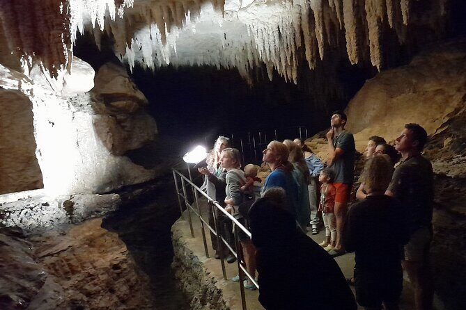 Northland Hidden Gems Glowworm Cave, Beach and Café Experience - Frequently Asked Questions