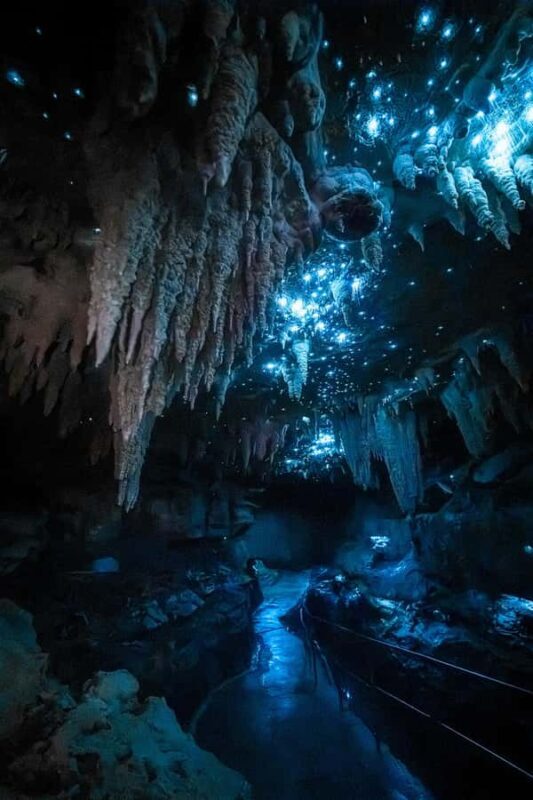 Northland Hidden Gems: Glowworm Cave, Beach & Art Café - An Honest Look at the Northland Hidden Gems Tour