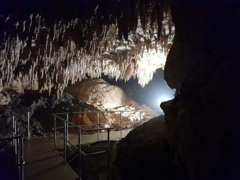 Northland Hidden Gems: Glowworm Cave, Beach & Art Café - Who Is This Tour Best Suited For?