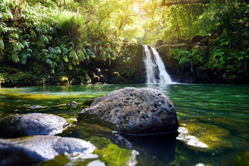 Northshore Maui: Guided Rainforest and Waterfall Walk - Who This Tour Is Best For
