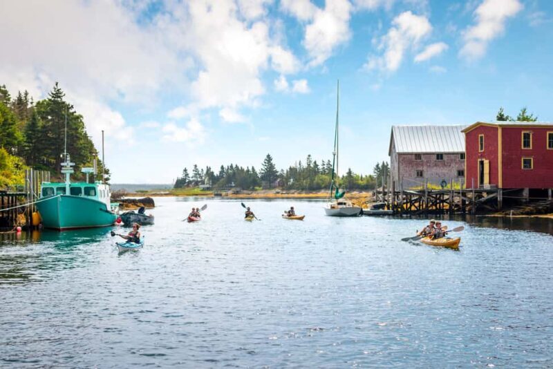 Nova Scotia: Guided Half-Day LaHave Islands Sea Kayak Tour - A Detailed Look at the Itinerary and Experience