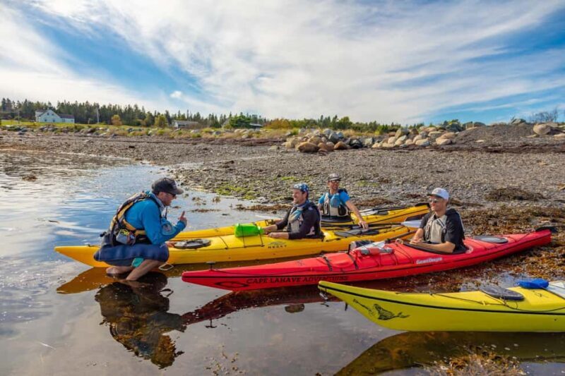 Nova Scotia: Guided Half-Day LaHave Islands Sea Kayak Tour - The Experience Provider: Cape LaHave Adventures